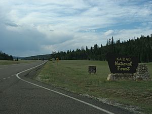 AZ State Route 67 NF Entrance