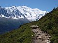 A view of Mont Blanc from the Tour du Mont Blanc, 2007