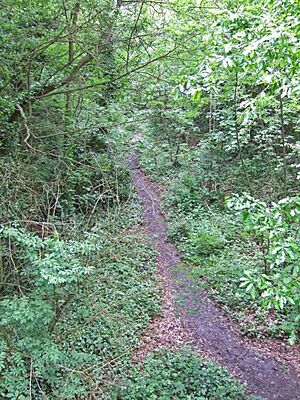 A view of the trackbed from the footbridge
