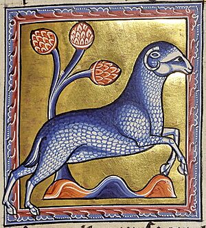 Aberdeen ram