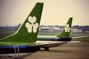 Aer Lingus 737s at DUB (23817158080)