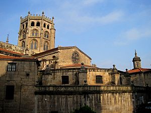 Ala sur. Santa Iglesia Catedral-Basílica de San Martíño. Ourense..JPG