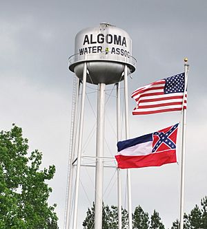 The Algoma water tower in Algoma, Mississippi.  Photo by Michael Jones.