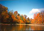 Alum Creek State Park fall colors.jpg