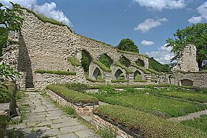 Alvastra kloster - KMB - 16000300019411