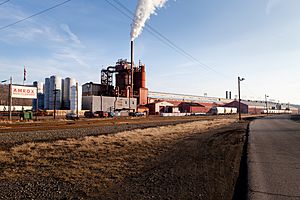 American Iron Oxide Company (AMROX) plant in Allenport