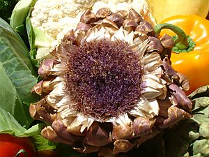 Artichoke flower, DSCF1621
