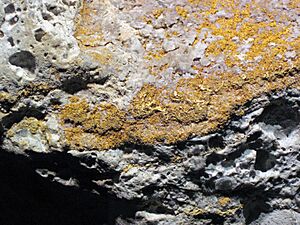 Auriferous volcanic breccia (Little Annie Mine, Summitville Mining District, San Juan Mountains, Colorado, USA) 4 (16422301144)