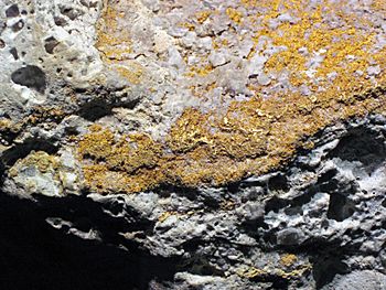 Auriferous volcanic breccia (Little Annie Mine, Summitville Mining District, San Juan Mountains, Colorado, USA) 4 (16422301144)