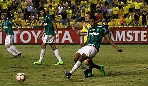 BARCELONA-PALMEIRAS - 35587814492