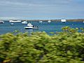 Boats off the Santa Cruz Island Galapagos in the Itabaca Channel photo by Alvaro Sevilla Design