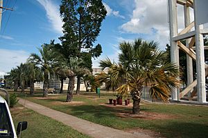 Bundaberg War Nurses Memorial and Park (2009)