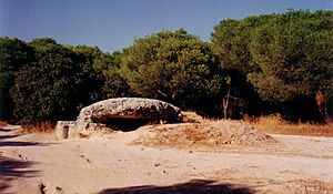 Bunker1 las rozas