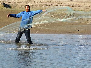 Casting a net 008a