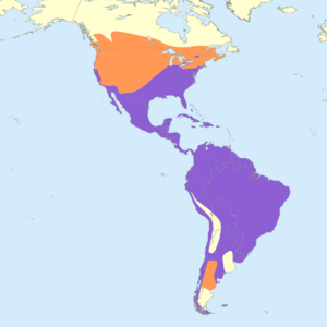 Cathartes aura map.svg