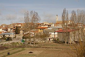 View of Cilleruelo de Abajo, 2010