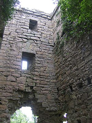 Coolamber Hall House - Tower Interior