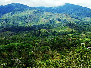 Cordillera Isabelia, Vista desde LAS QUEBRADAS, Siuna, R.A.C.C.N. - panoramio