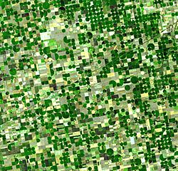 Crops Kansas AST 20010624