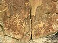 Crow Canyon petroglyphs