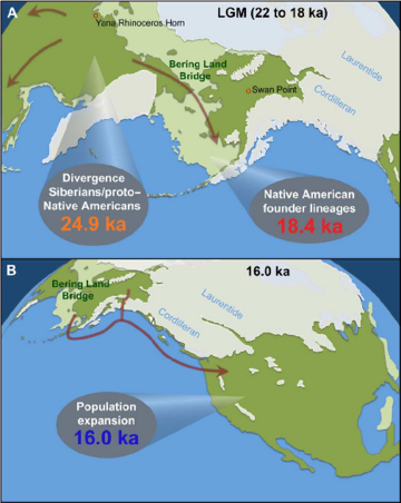 Eastern-Beringia-during-the-LGM-and-retreat-of-the-ice-sheets-A-Exposed-land-when-sea