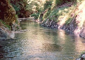 Elk River in Oregon.jpg