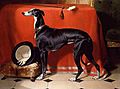 Eos, A Favorite Greyhound of Prince Albert