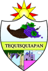 Official seal of Tequisquiapan