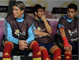 Fernando Torres Euro 2012 vs France bench