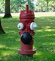 Fire hydrant at the University of Victoria, BC (DSCF5631)