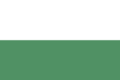 Flag of San Antonio (Tolima)