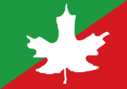 Flag of the Jammu Kashmir Peoples Party.png