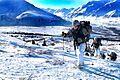 Fort Richardson Snowshoeing
