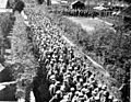 German POWs captured in Flanders by Brits2