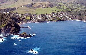 Aerial view of Hana, Maui