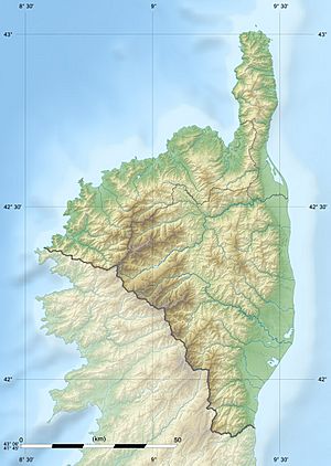 Haute-Corse department relief location map.jpg