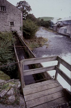Heron Corn Mill Sluice Head and Leat - geograph.org.uk - 656840