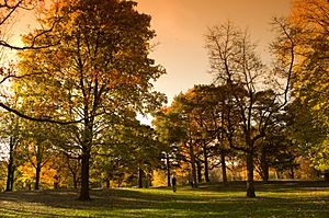 High Park autumn - panoramio