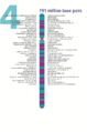 Human chromosome 04 from Gene Gateway - with label