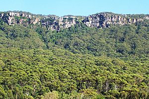 Illawarra Escarpment