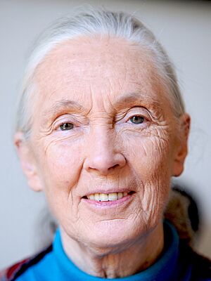 Jane Goodall 2010 (cropped).jpg