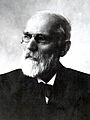 Johannes Diderik van der Waals (cropped)