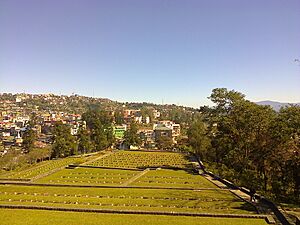 Kohima Cemetery