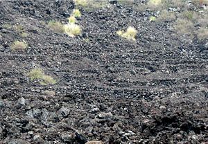 Kuamo'o Burials in lava rock