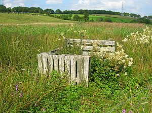 Lochend Loch - waterfowl shooters hide