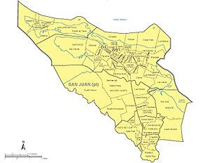 Maps in the Puerto Rico 2010 Census of Population and Housing Page 139 (cropped)