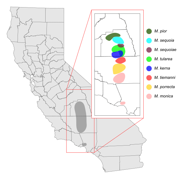 Motyxia distribution