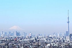 Mt.Fuji & Tokyo SkyTree (6906783193)b