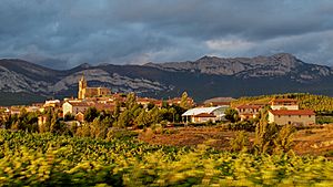 Navaridas, Rioja Region, Spain (by @taniazapata).jpg