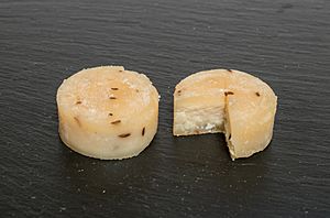 Nieheimer Sauermilchkäse 2016-09-10 (19)